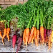 Marchew -odżywcze warzywa, które powinieneś jeść